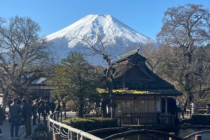 Mount Fuji Full Day Customize Private Tour with English Guide - Why this private Fuji day works from Tokyo