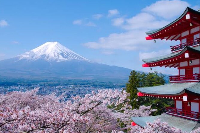 Mount Fuji Full Day Customize Private Tour with English Guide - Lake Kawaguchiko and Oishi Park