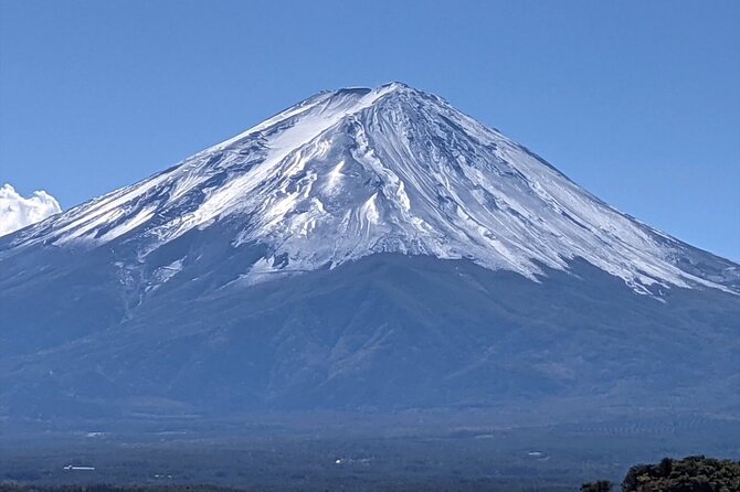 Mount Fuji Full Day Customize Private Tour with English Guide - Narusawa Ice Cave near Aokigahara