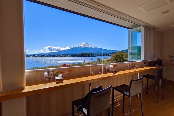 Mount Fuji Full Day Customize Private Tour with English Guide - Gotemba Premium Outlets: useful, but costly in time
