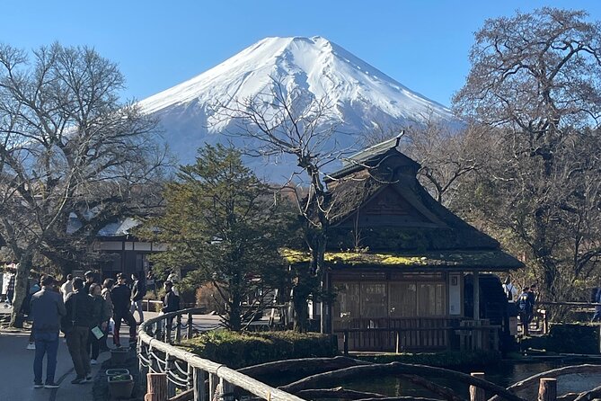 Mount Fuji Full Day Customize Private Tour with English Guide - Mount Fuji 5th Station: the highest major stop