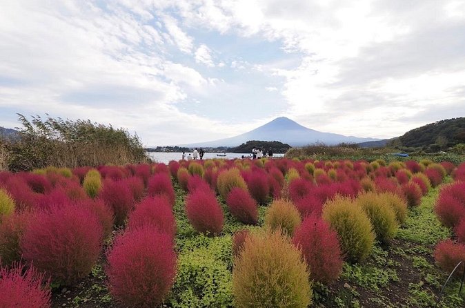 Mount Fuji Full Day Customized Private Tour with English Guide - Narusawa Ice Cave: a short but memorable detour