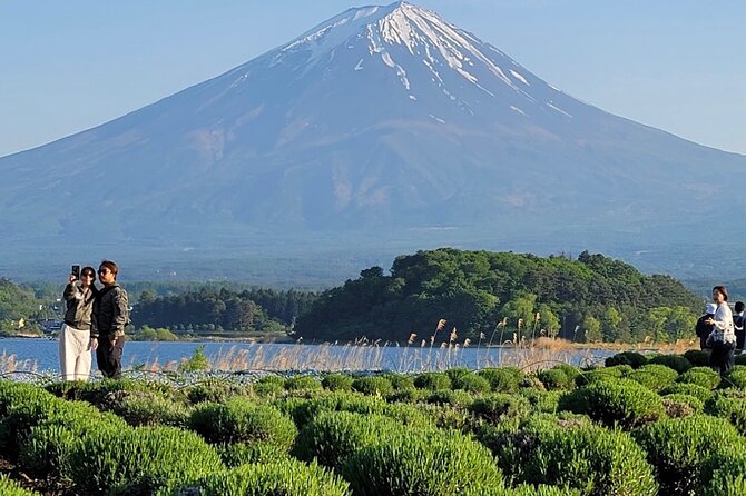 Mount Fuji Full Day Customized Private Tour with English Guide - Choosing the Hakone add-ons