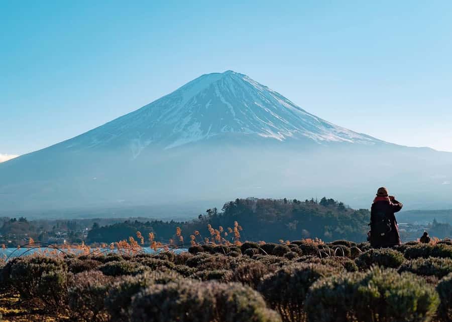 Mount Fuji Full-Day Private Sightseeing Tour with Guide - The best parts of the day at a glance