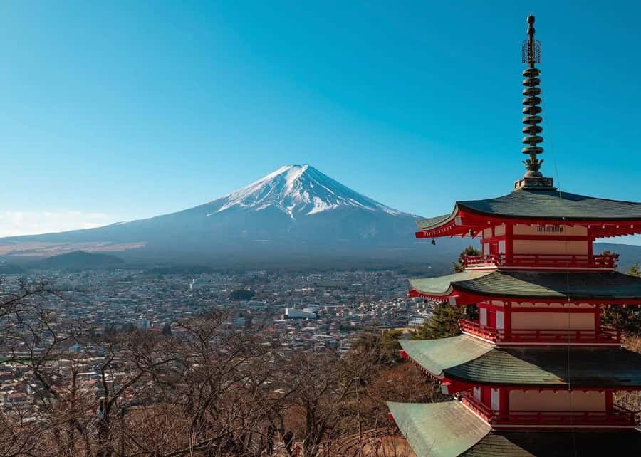 Mount Fuji Full-Day Private Sightseeing Tour with Guide - Why a private car makes Fuji easier