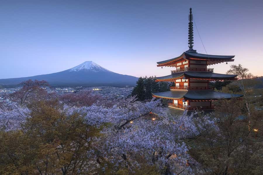 Mount Fuji Full-Day Private Sightseeing Tour with Guide - Chureito Pagoda delivers the famous picture