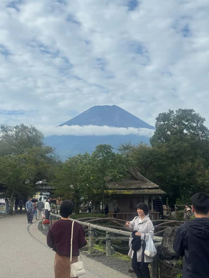 Mount Fuji Full-Day Private Sightseeing Tour with Guide - Oshino Hakkai adds water, food, and village character