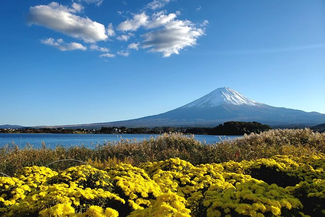 Mount Fuji Full-Day Private Tour from Tokyo (Customizable) - Why a private Mount Fuji tour from Tokyo makes sense