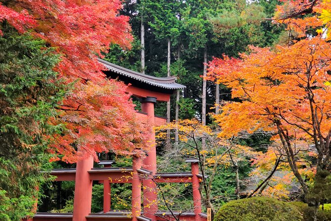 Mount Fuji Full-Day Private Tour from Tokyo (Customizable) - Fuji-Q Highland and Saiko Iyashi no Sato Nenba