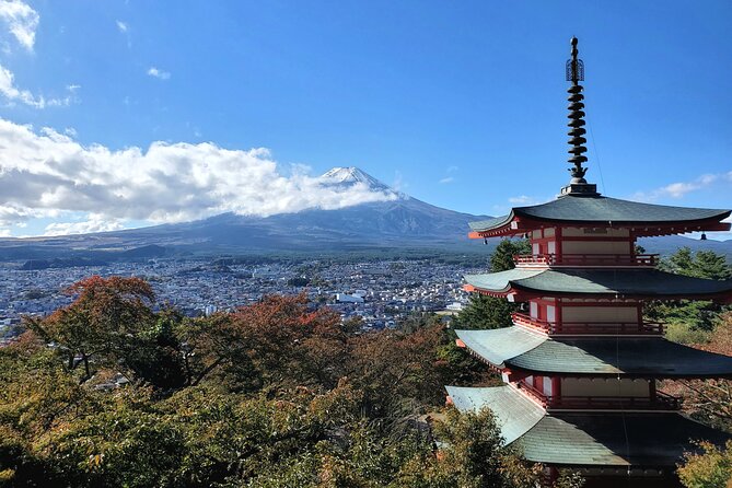 Mount Fuji Full-Day Private Tour from Tokyo (Customizable) - Leave Tokyo early to protect your Fuji views