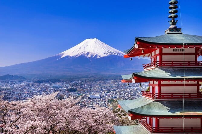 Mount Fuji Full Day Sightseeing Tour from Tokyo - Five things to know before booking