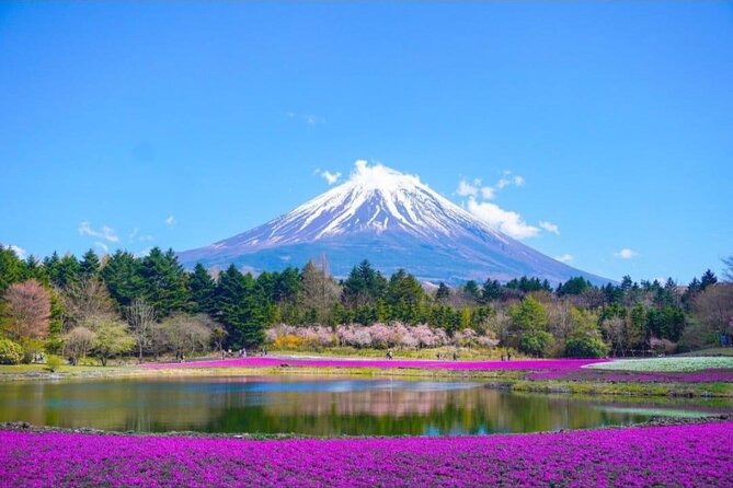 Mount Fuji & Lake Kawaguchi Day Trip with English-speaking Driver - Lake Yamanaka and the Fuji Five Lakes