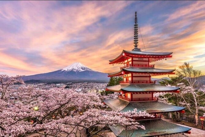 Mount Fuji & Lake Kawaguchi Day Trip with English-speaking Driver - Hananomiyako Park and Seasonal Flowers