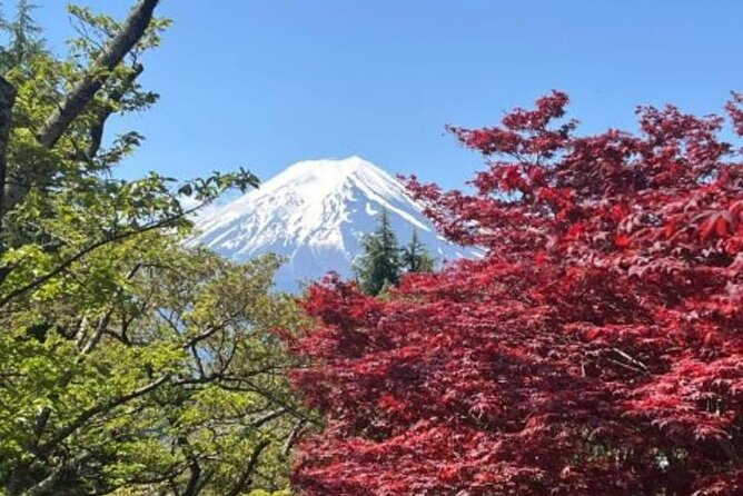 Mount Fuji & Lake Kawaguchi Day Trip with English-speaking Driver - Chureito Pagoda and the Famous Fuji View