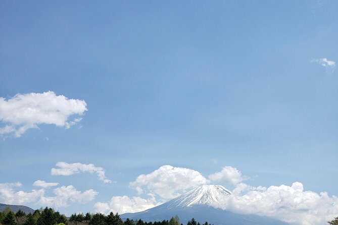 Mount Fuji (Mt. fuji) private tour by car with pickup from Tokyo - Add Oishi Park for the best combined view
