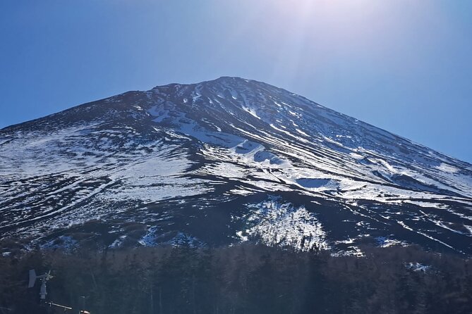 Mount Fuji (Mt. fuji) private tour by car with pickup from Tokyo - Decide if the 5th Station is worth the climb in altitude