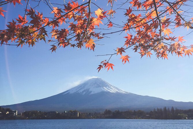 Mount Fuji (Mt. fuji) private tour by car with pickup from Tokyo - Oshino Hakkai offers clear water and village scenery