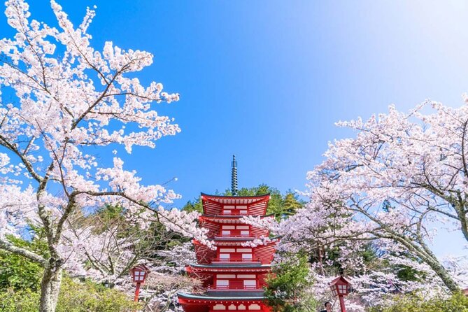 Mt. Fuji 5th, Oshino Hakkai, Onsen Full-Day Trip From Tokyo - Guides Can Shape the Whole Day
