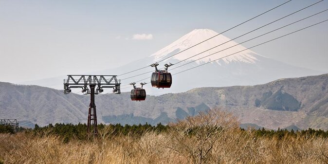 Mt Fuji and Hakone 1-Day Bus Tour Return by Bus - What makes this tour worth considering