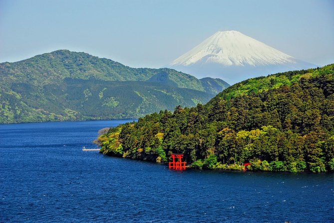 Mt Fuji and Hakone 1-Day Bus Tour Return by Bus - Hakone Ropeway: the best high viewpoint of the day