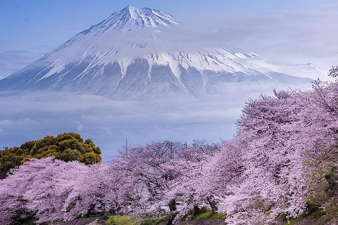 Mt. Fuji and Hakone Private Tour with English Speaking Driver - Key points at a glance