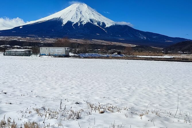 Mt. Fuji and Hakone Private Tour with English Speaking Driver - Why this private Fuji day trip works