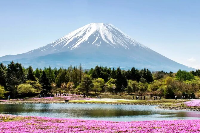 Mt. Fuji and Hakone Private Tour with English Speaking Driver - Arakurayama Sengen Park and the 398 steps