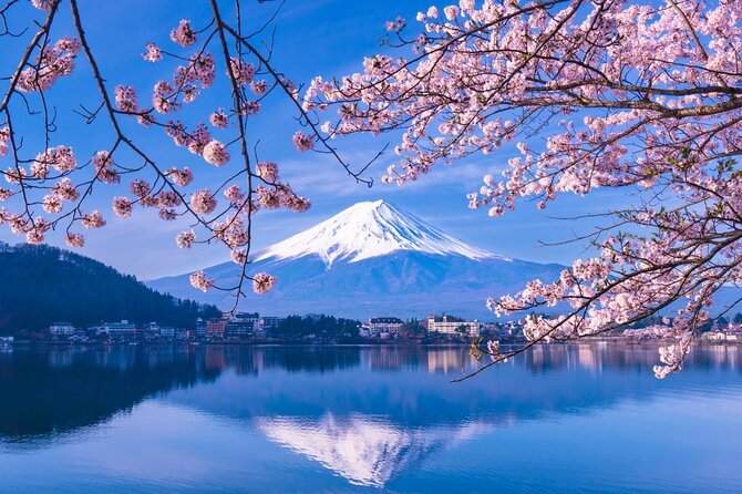 Mt. Fuji and Hakone Private Tour with English Speaking Driver - Oshino Hakkai: springs beneath Mount Fuji