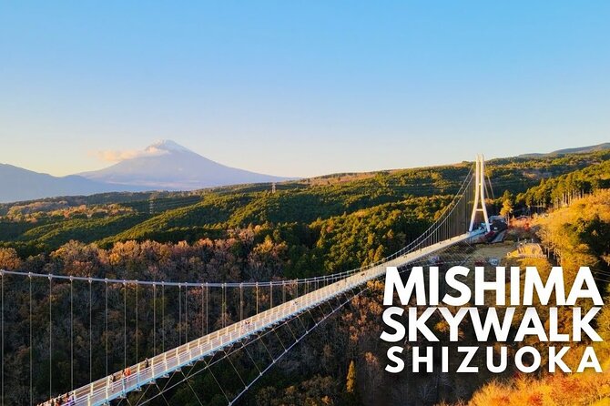 Mt. Fuji and Hakone Private Tour with English Speaking Guide - Hakone Shrine and the torii in Lake Ashi