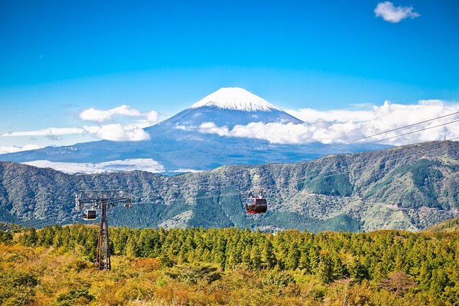 Mt. Fuji and Hakone Private Tour with English Speaking Guide - Arakurayama Sengen Park and the famous pagoda view
