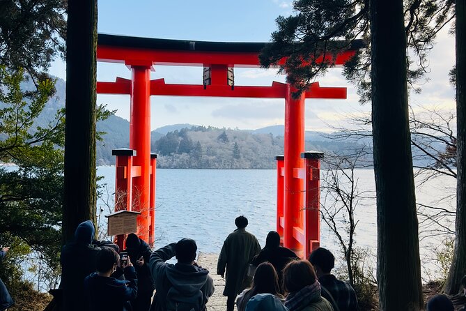 Mt. Fuji, Cherry Blossom & Shiba Sakura Pvt. Day Tour - Why a private Fuji day trip can be worth it