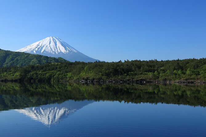 Mt Fuji Customizable Private Tour English Speaking Driver Pick-up - Why a private Fuji day trip makes sense