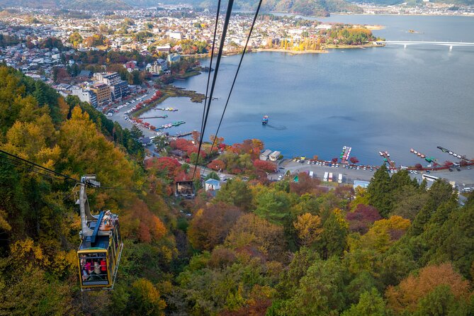 Mt Fuji Customizable Private Tour English Speaking Driver Pick-up - Saiko Iyashi no Sato Nenba, a traditional village by Lake Saiko