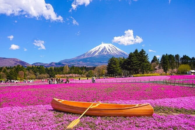 Mt. Fuji Day tour: Kawaguchi Lake Ropeway, Matcha, Oshino Hakkai - The key details at a glance