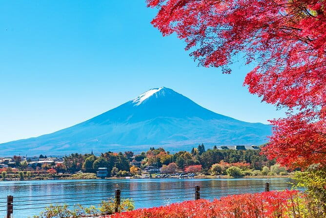 Mt. Fuji Day tour: Kawaguchi Lake Ropeway, Matcha, Oshino Hakkai - Why this day trip makes sense from Tokyo