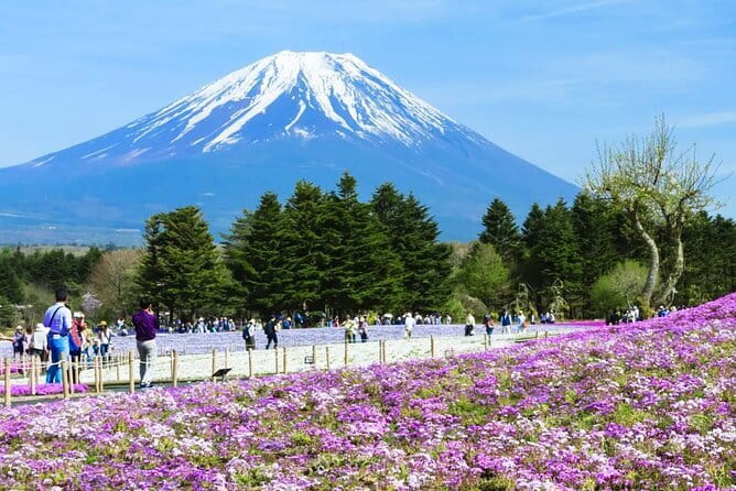 Mt. Fuji Day tour: Kawaguchi Lake Ropeway, Matcha, Oshino Hakkai - Lawson Fujikawaguchiko Town Hall: a quick Fuji photo stop