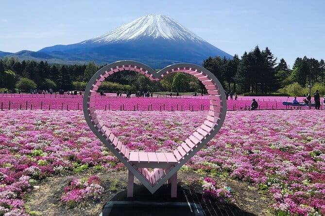 Mt. Fuji Day tour: Kawaguchi Lake Ropeway, Matcha, Oshino Hakkai - The guide can shape the whole day