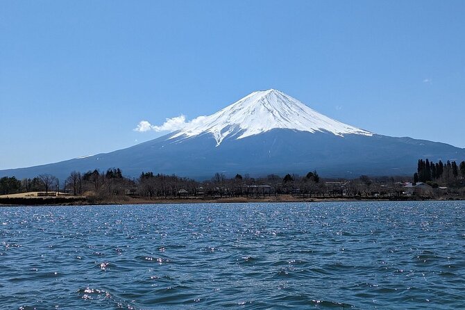 Mt. Fuji Day Trip from Tokyo with English Speaking Driver Guide - Why a private Fuji day trip can make sense