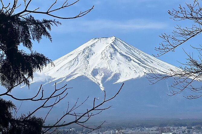 Mt. Fuji Day Trip from Tokyo with English Speaking Driver Guide - Kitaguchi Hongu Fuji Sengen Shrine