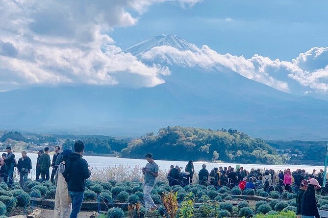 Mt. Fuji Day Trip from Tokyo with English Speaking Driver Guide - Start at Lake Kawaguchiko