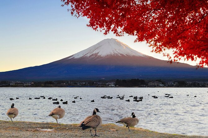 Mt Fuji Exclusive Tour with Private Car English Guide - Why a private car makes Fuji easier from Tokyo