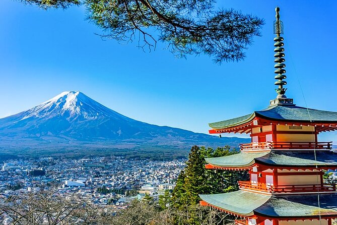 Mt. Fuji Five Lakes Area Private Tour with Licensed Guide(Kawaguchiko area Dep) - Key points to know before booking