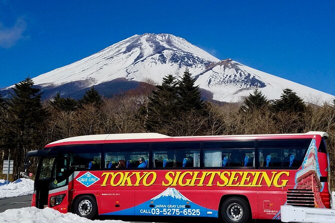 Mt. Fuji & Hakone Bus Tour Bullet Train Return & 28-Hotel Pick-up - Five things to know before booking