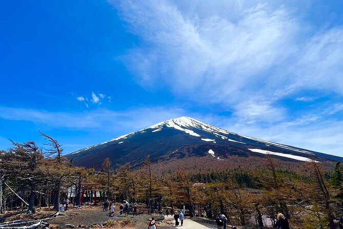 Mt. Fuji & Hakone Bus Tour Bullet Train Return & 28-Hotel Pick-up - Hotel pickup and the first hours on the road