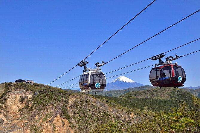 Mt. Fuji & Hakone Bus Tour Bullet Train Return & 28-Hotel Pick-up - Lake Ashi cruise and the Hakone Shrine torii