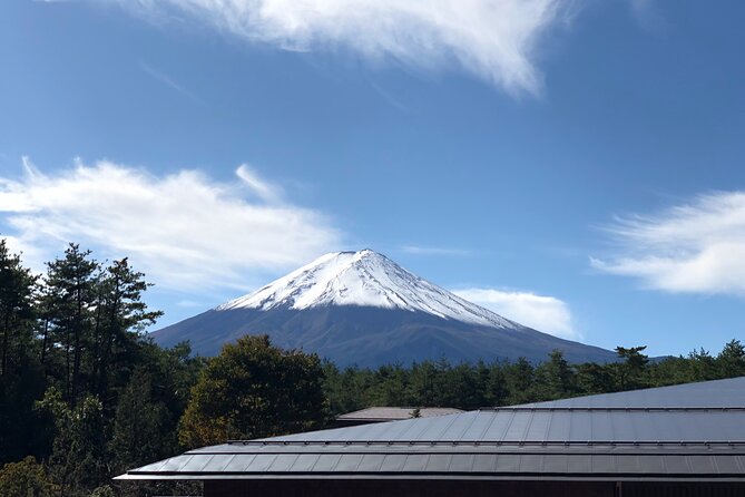 Mt. Fuji & Hakone Bus Tour Bullet Train Return & 28-Hotel Pick-up - Mt. Fuji 5th Station: dramatic altitude, limited time