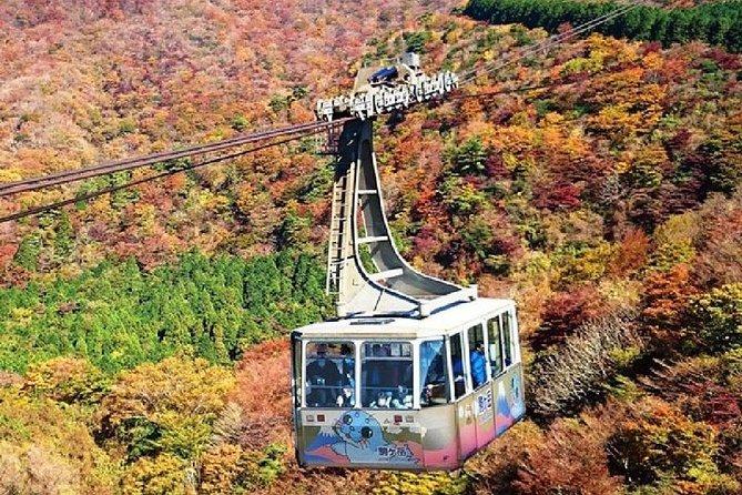 Mt Fuji & Hakone Cruise, Drum Show Bullet Train 1 Day from Tokyo - Lunch, Local Flavor, and Japanese Drums