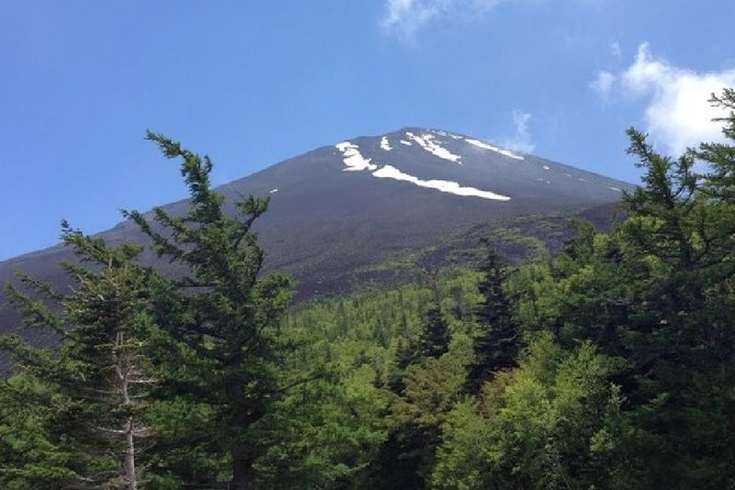 Mt Fuji & Hakone Cruise, Drum Show Bus 1 Day from Tokyo - Lake Ashi and the Sorakaze cruise