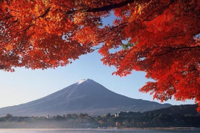 Mt Fuji & Hakone Cruise, Drum Show Bus 1 Day from Tokyo - Timing, traffic, and the long return to Tokyo