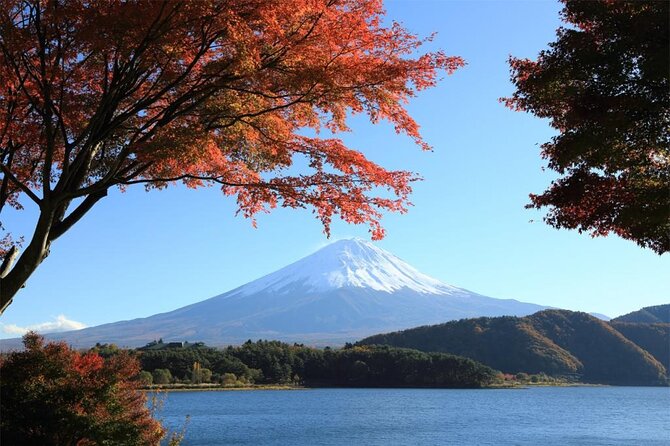 Mt Fuji & Hakone Cruise, Drum Show Bus 1 Day from Tokyo Sta. Area - Fuji 5th Station at 2,300 meters